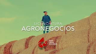 QUÉ SON LOS AGRONEGOCIOS [upl. by Alraep]