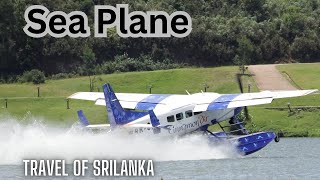 Sea Plane travel of Sri Lanka [upl. by Yerdna836]