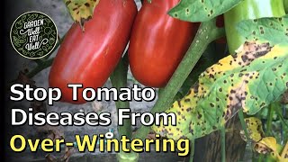 Keep Tomato Diseases From Infecting Next Years Crop  KEY Garden Cleanup Tips To Do NOW [upl. by Katinka]