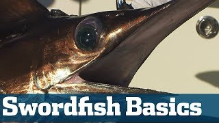 Catch Swordfish  Florida Sport Fishing TV  Step By Step Setting A Bait [upl. by Egedan]