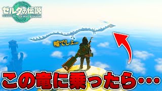 【検証】空を飛んでる龍に乗ることはできるの？って思ったら衝撃の展開だったんだがｗ【ゼルダの伝説 ティアーズ オブ ザ キングダム  序盤】 [upl. by Avlem353]