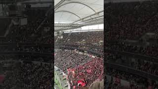 FC Bayern Fans eskalieren komplett 😱🤬 [upl. by Kcor99]