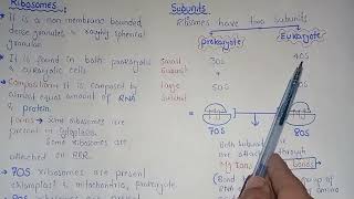 Ribosomes Structure And Functions  Polysomes  Federal amp KPK Board [upl. by Anilam]