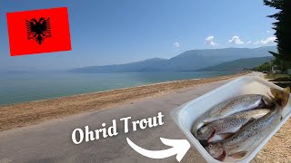 LAKE OHRID Adventure POGRADEC amp TUSHEMISHT  Eating ALBANIAN Koran 🇦🇱 [upl. by Ierdna]