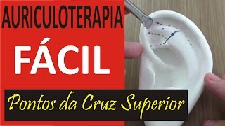 Auriculoterapia Fácil  Curso de Acupuntura Auricular [upl. by Anitsyrhc]