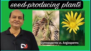 Whats the BIGGEST Difference Between Gymnosperms and Angiosperms  NEET  RK sir  Destiny JEET [upl. by Carhart593]