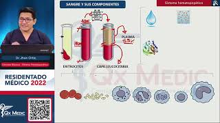 Hematología Ciencias Básicas  Primera parte 01 [upl. by Moulton]