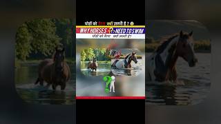 घोड़ों को तैरना क्यों ज़रूरी है😰Why horses need to swim🐎🧐 [upl. by Enia693]