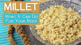 What Millet Can Do For Your Body  5 Benefits [upl. by Adiela]