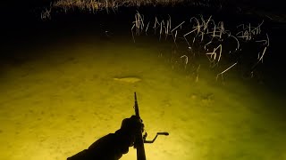 Fish HUNTING for Big Fish with a BLOWGUN Fishing Rod [upl. by Cerveny915]