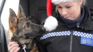 West Yorkshire Police Advent Calendar  Tuesday 16th December [upl. by Suaeddaht533]