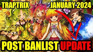 POST BANLIST Traptrix Deck Profile  January 2024  YUGIOH [upl. by Gillman]