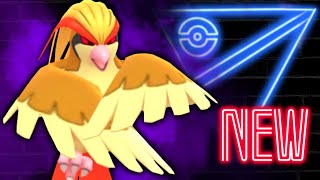 NEW SHADOW PIDGEOT is here and it hits HARD in the Great League  Pokémon GO Battle League [upl. by Abbye]