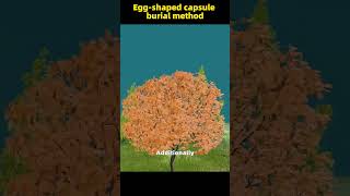 Eggshaped capsule burial method [upl. by Savannah]