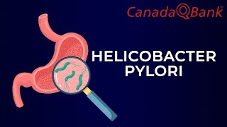 Helicobacter Pylori [upl. by Annahoj134]