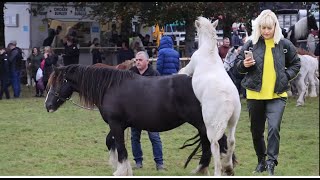 Horses and Spectators at Ballinasloe Horse Fair [upl. by Akimihs]