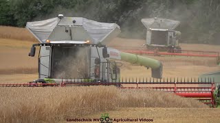 Claas  Case  Fendt  Scania  Getreideernte  Grain Harvest 2022 pt1 [upl. by Eikcor]