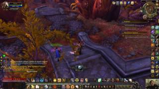 World of Warcraft Охота на иссохших Фаланаар Withered Wrangling Falanaar 1080р60HD [upl. by Fugate]