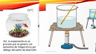 EBULLICIÓN y EVAPORACIÓN ¿son lo mismo [upl. by Martguerita]