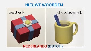 NIEUWE WOORDEN  We leren Nederlands dutch [upl. by Eirffej]