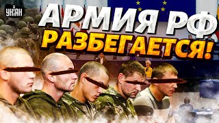 Началось Армия РФ сыплется дезертиры побежали на Запад Откровения вчерашних солдат [upl. by Ambrosia70]