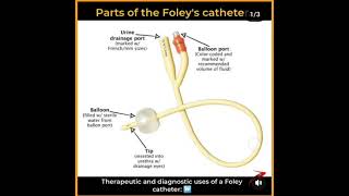 Foley catheter nursing patientcare fundamentalanalysis urine [upl. by Haymo]