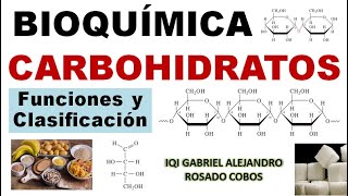 Carbohidratos glúcidos Funciones clasificación y conceptos básicos [upl. by Poree]