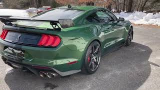 My 2022 Ford Mustang GT500 Eruption Green Metallic Walkaround [upl. by Aural]