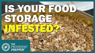 Protect Your Food Storage From Insect Infestation [upl. by Arvy]