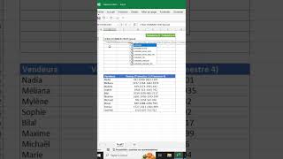 Fractionner une cellule Excel apprendreexcel excelfrancais excel formationexcel microsoftexcel [upl. by Ramalahs]