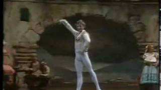 Mikhail Baryshnikov Don Quixote [upl. by Bergmans445]