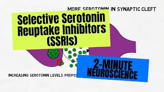 2Minute Neuroscience Selective Serotonin Reuptake Inhibitors SSRIs [upl. by Mathew]