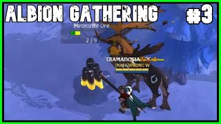 Albion Online Gathering  1mil a day 3 [upl. by Stieglitz506]