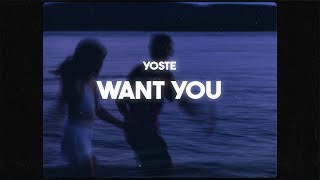 Yoste  Want You Lyrics [upl. by Anaihsat710]