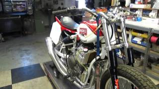 MampJ RACING KAWASAKI FLAT TRACKER [upl. by Inot]