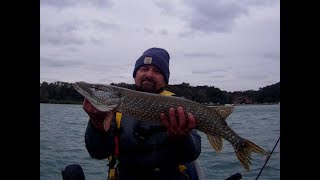 Lake Michigan Jon Boat Northern Pike In The Boat This Time [upl. by Matteo]