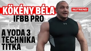 Kökény Béla  IFBB Pro és Arnold Classic győztes  edzése [upl. by Ijies421]