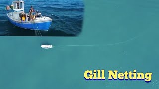 Gill Netting From Boat InShore drone footage [upl. by Taryn529]