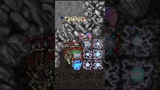 TIBIA  ¿CONOCÍAS ESTE BUG [upl. by Eeraj954]