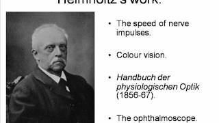 Helmholtz and Donders Psychology HPsy 45 [upl. by Eno]