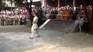 Amazing Kungfu Performance [upl. by Ulla]