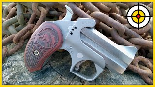 🐻Not Your Average Bear🐻 Bond Arms Grizzly 45 Colt amp 410 Derringer Range Review amp First Shots [upl. by Hendry]