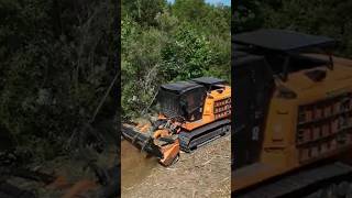 This Forestry Mulcher EATS Skid Steers for Breakfast forestrymulching landclearing [upl. by Ateekahs707]