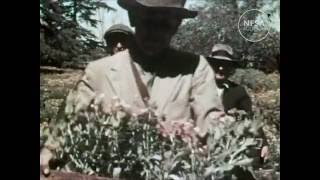 The Ballarat Centenary Floral Festival 1938 [upl. by Rumery]