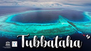 TUBBATAHA The Crown Jewel of the Philippines [upl. by Keyes]