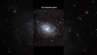 the Traingulum galaxy from a 6 inch dobsonian telescope [upl. by Telrats592]