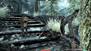 Skyrim How to bash [upl. by Adriell]