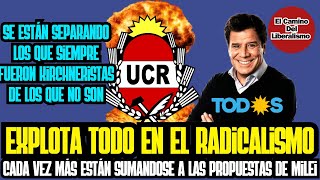 Máxima tensión en el RADICALISMO varios no Kirchneristas se quieren aliar con Milei [upl. by Cad]