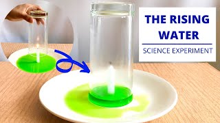 The Rising Water  Science Experiment  Why Does Water Rise Up  Explained [upl. by Ricardama]