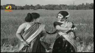 Thodi Kodalluతోడికోడళ్ళు Telugu Full Movie  Nageswara Rao  Savitri  SVRanga Rao  TVNXT Telugu [upl. by Ajoop784]